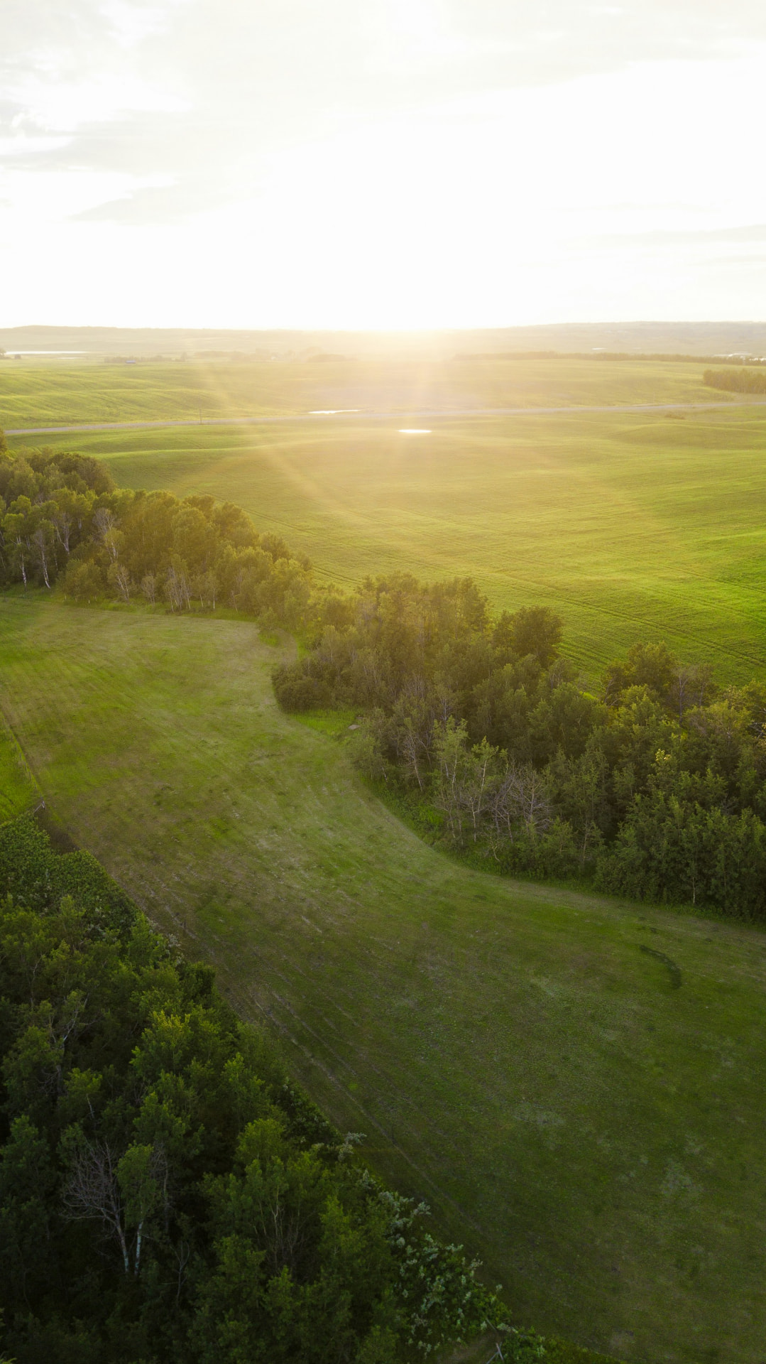 Aerial photograph of rolling Central Alberta farmland at sunset